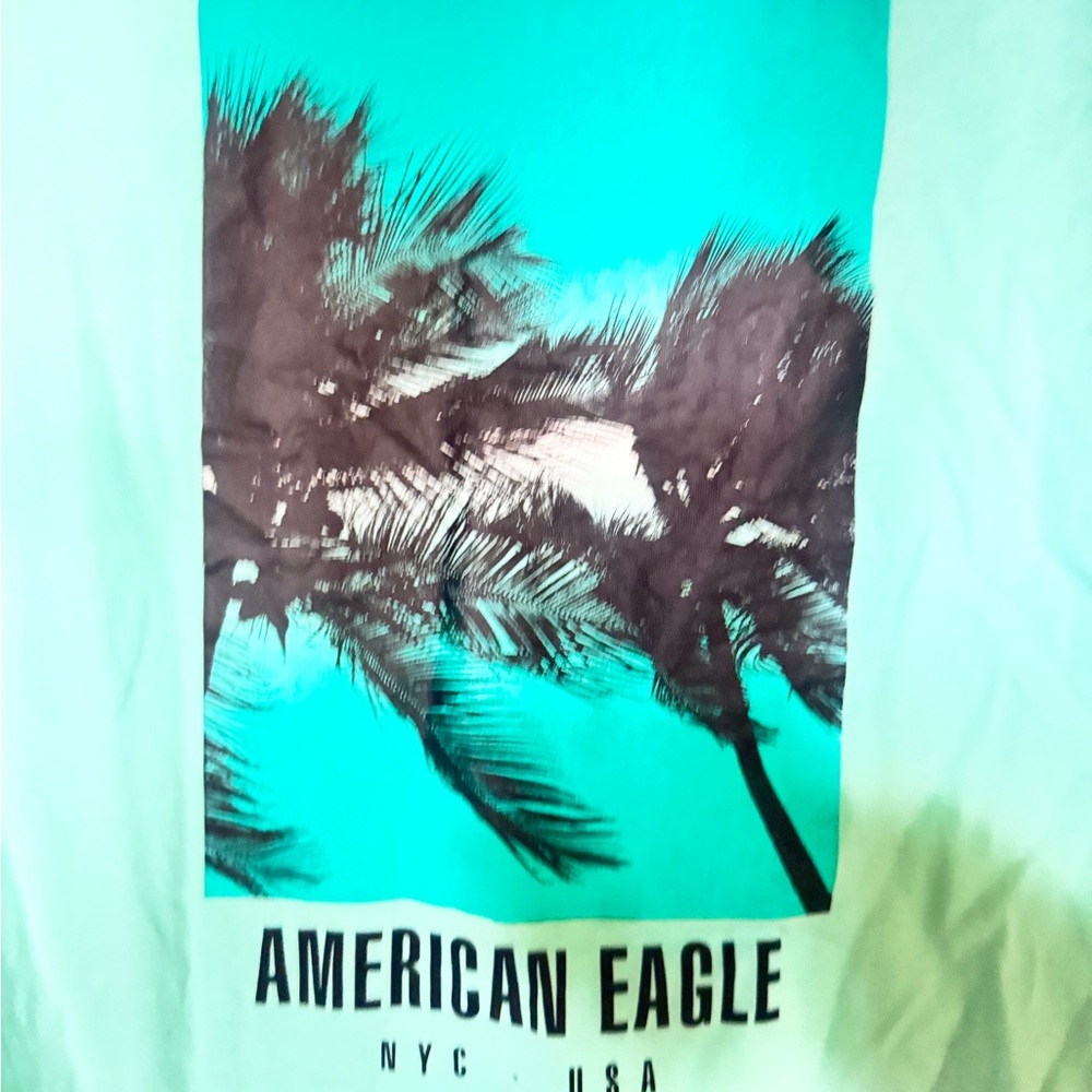American Eagle Outfitters Men's Aqua Palm Graphic Tee - Picture 3 of 4